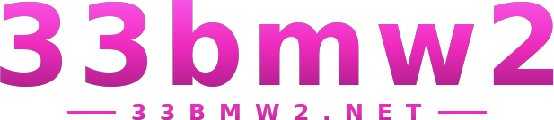 33bmw2 logo